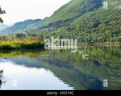 Carlazzo, Italie : Lac Piano est un petit lac situé dans le Val Menaggio. Il a une superficie de 0,72 km2 et une profondeur maximale de 13 mètres et occupe la Banque D'Images