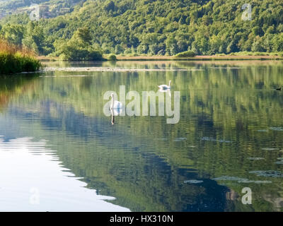 Carlazzo, Italie : Lac Piano est un petit lac situé dans le Val Menaggio. Il a une superficie de 0,72 km2 et une profondeur maximale de 13 mètres et occupe la Banque D'Images