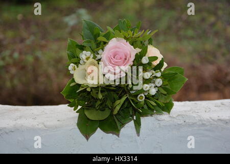 - Bouquet de roses se trouve sur mur blanc dans la nature Banque D'Images