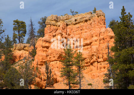 Creux cabine ridge dans Red Canyon, Dixie National Forest, L'Autoroute 12 Scenic Byway, Utah Banque D'Images