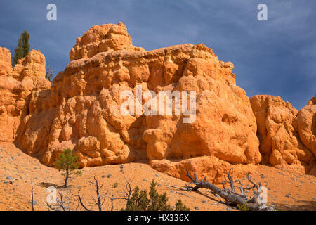 Creux cabine ridge dans Red Canyon, Dixie National Forest, L'Autoroute 12 Scenic Byway, Utah Banque D'Images