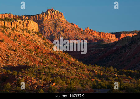 Circle Cliffs, Grand Staircase - Escalante National Monument, Burr Trail Scenic Byway, Utah Banque D'Images