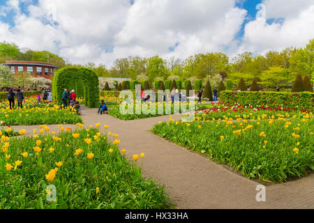 Tulipes colorées dans le Keukenhof jardin, Holland Banque D'Images