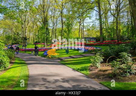 Lisse, Pays-Bas - 7 mai 2016 : lit de fleur de tulipes colorées au printemps. Tulipes colorées dans le Keukenhof jardin, Hollande Pays-bas. Bloomi frais Banque D'Images