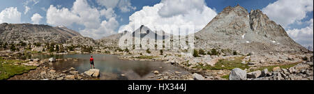 CA03101-00...CALIFORNIE - Un goût à un banc de Darwin sur Tarn dans le Kings Canyon Wilderness. Banque D'Images