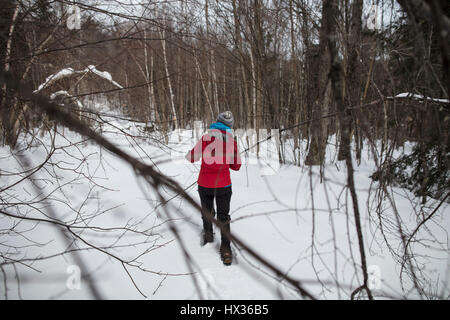 Une dame dans une veste rouge les raquettes dans la forêt après une tempête de neige dans la région de Hastings Highlands, Ontario, Canada. Banque D'Images