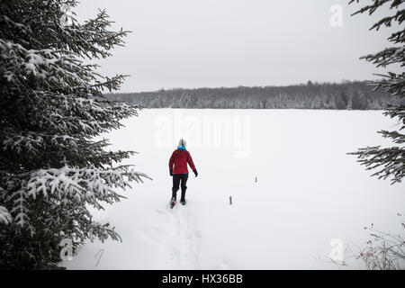 Une dame dans une veste rouge les raquettes après une tempête de neige dans la région de Hastings Highlands, Ontario, Canada. Banque D'Images