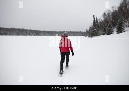 Une dame dans une veste rouge les raquettes après une tempête de neige dans la région de Hastings Highlands, Ontario, Canada. Banque D'Images