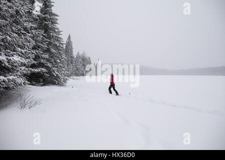 Une dame dans une veste rouge les raquettes après une tempête de neige dans la région de Hastings Highlands, Ontario, Canada. Banque D'Images