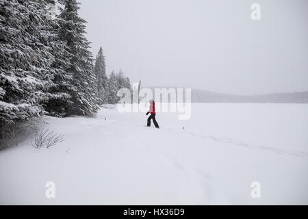 Une dame dans une veste rouge les raquettes après une tempête de neige dans la région de Hastings Highlands, Ontario, Canada. Banque D'Images