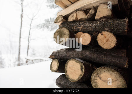 Bois de chauffage empilé sous un pont pendant l'hiver dans le Nord de l'Ontario, Canada. Banque D'Images