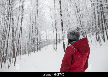 Une dame dans une veste rouge les raquettes dans la forêt après une tempête de neige dans la région de Hastings Highlands, Ontario, Canada. Banque D'Images