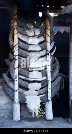 Différentes tailles de crânes blancs taureaux bœufs ou asiatique avec des cornes de couleur gris lié et entassés les uns les autres utilisées pour la décoration d'une traditionnelle une vill Banque D'Images