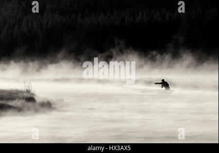 La pêche à la mouche sur la rivière Madison avec brouillard tôt le matin. Le Parc National de Yellowstone, Wyoming Banque D'Images