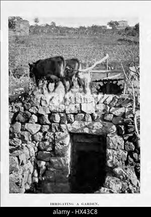 Système d'irrigation la palestine 1913 Banque D'Images