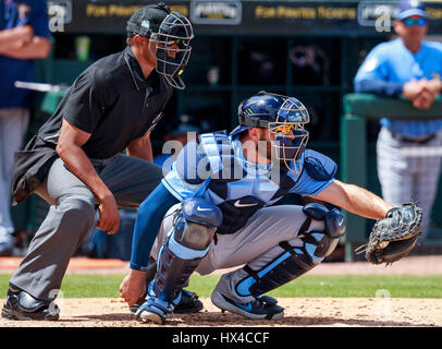 LECOM Park. 24Th Mar, 2017. Floride, USA-Rays de Tampa Bay catcher Curt Casali (19) dans un jeu d'entraînement du printemps à LECOM Park. Del Mecum/CSM/Alamy Live News Banque D'Images