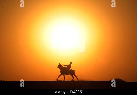 Allahabad, Uttar Pradesh, Inde. Mar 25, 2017. Allahabad : Une promenade à cheval avec les jeunes pendant le coucher du soleil à Allahabad sur 25-03-2017. photo par Prabhat Kumar verma Crédit : Prabhat Kumar Verma/ZUMA/Alamy Fil Live News Banque D'Images