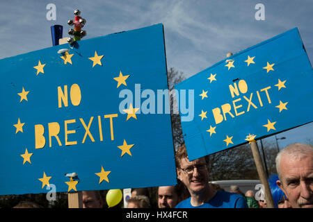 Londres, Royaume-Uni. Mar 25, 2017. Des milliers de personnes dans la protestation s'unissent pour l'Europe sur Mars le Parlement contre Brexit manifestation le 25 mars 2017 à Londres, Royaume-Uni. La marche dans la capitale rassemble des manifestants de tout le pays, en colère contre le fait que l'article 50 sera invoqué et d'écouter les 48 pour cent des électeurs britanniques qui ont exprimé contre Brexit. Depuis que le vote a été annoncé, il y a eu des manifestations, des protestations et des commentaires politiques dans toutes les formes de médias. Crédit : Michael Kemp/Alamy Live News Banque D'Images