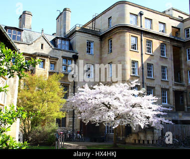 Cambridge, UK. Mar 25, 2017. Beau Soleil du printemps fait sortir les touristes sur une chaude journée à Cambridge, Royaume-Uni. Samedi 25 mars 2017 Credit : KEITH MAYHEW/Alamy Live News Banque D'Images