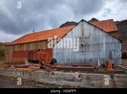 Reste de l'ancien port baleinier à Grytviken, Géorgie du Sud Banque D'Images