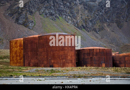 Reste de l'ancien port baleinier à Grytviken, Géorgie du Sud Banque D'Images