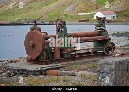 Reste de l'ancien port baleinier à Grytviken, Géorgie du Sud Banque D'Images