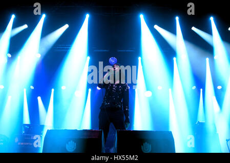 Barcelone - 4 JUIL : Primal Scream (band) en concert au Festival de Vida le 4 juillet 2015 à Barcelone, Espagne. Banque D'Images