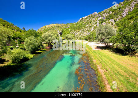 Au-dessous de la rivière Krka vue sur la forteresse de Knin, en Croatie, Dalmatie intérieure Banque D'Images