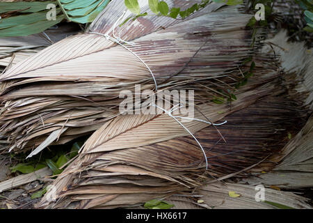 Feuilles de palmier séchées au bord de la route, aux Seychelles Banque D'Images