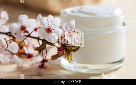 Crème hydratante et cerisiers en fleurs sur fond de bois Banque D'Images