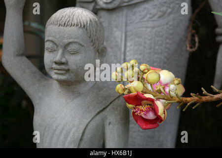 Statue de Bouddha, le garçon la Pagode d'argent, Phnom Penh, Cambodge Banque D'Images