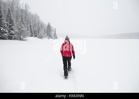 Une dame dans une veste rouge les raquettes après une tempête de neige dans la région de Hastings Highlands, Ontario, Canada. Banque D'Images