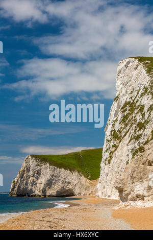 À l'ouest de Durdle Door vers les falaises de craie d'Swyre la tête et bat la tête sur la côte jurassique, Dorset, Angleterre Banque D'Images