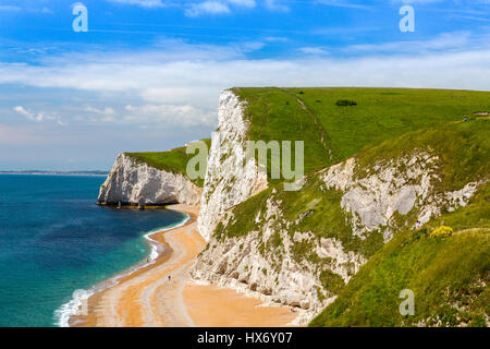 À l'ouest de Durdle Door vers les falaises de craie d'Swyre la tête et bat la tête sur la côte jurassique, Dorset, Angleterre Banque D'Images