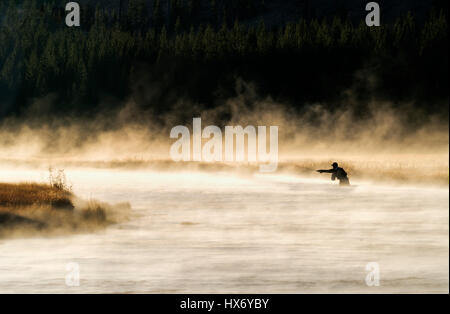 La pêche à la mouche sur la rivière Madison avec brouillard tôt le matin. Le Parc National de Yellowstone, Wyoming Banque D'Images