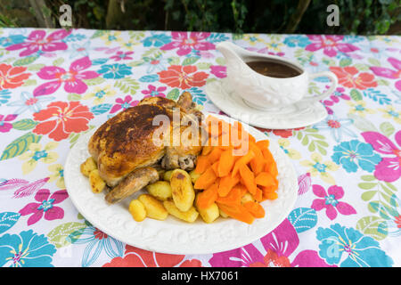 Dîner rôti sauce poulet Carottes Patates Banque D'Images