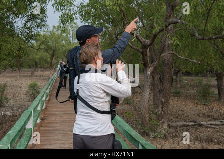 Le Bangladesh, les Sundarbans, la plus grande forêt de mangroves du littoral dans le monde. Près de parc national des Sundarbans Hiron Point. L'observation des oiseaux du parc b Banque D'Images