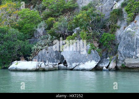 Au bord de l'eau dans la belle au Khao Sam roi Yot national park, Thaïlande Banque D'Images