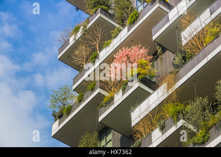 Eco Construction moderne au printemps avec les cerisiers Rose Banque D'Images