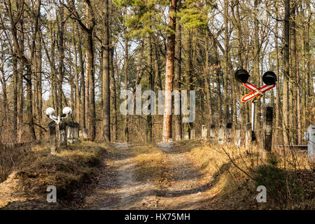 Les voies de commutation dans la forêt. Feux de circulation. La forêt. Banque D'Images