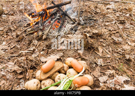 La cuisson des aliments sur le feu. Barbecue, feu, bois. Banque D'Images