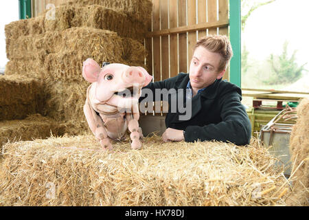 Babe le cochon répond aux chèvres à la ferme Banque D'Images