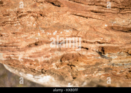 Formation en pierre montrant des lignes de faille, stock photo Banque D'Images