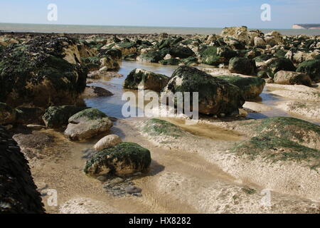 Des roches couvertes d'algues portant sur les canaux creusés dans la craie par la mer et marée. Banque D'Images