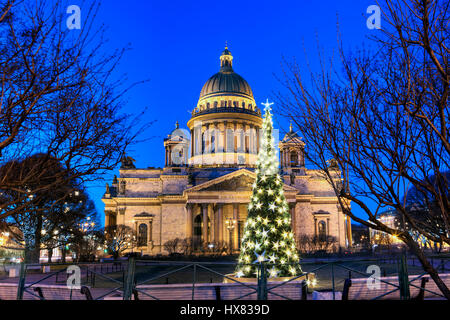 Saint-pétersbourg, Russie - 27 décembre 2015 : la cathédrale Saint-Isaac dans la lumière du soir, arbre de Noël avec feux lumineux. Banque D'Images