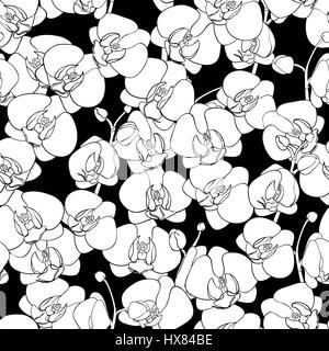 Seamless pattern naturel des orchidées en fleur, contour noir peint sur un fond noir. Phalaenopsis. Hand drawn vector illustration. Illustration de Vecteur