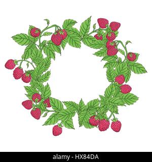 Couronne ronde ou cadre de la framboise sur les branches sur un fond blanc. Hand drawn vector illustration. Illustration de Vecteur