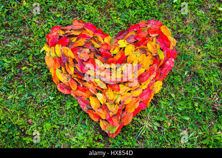 Un cœur créé à partir de feuilles colorées