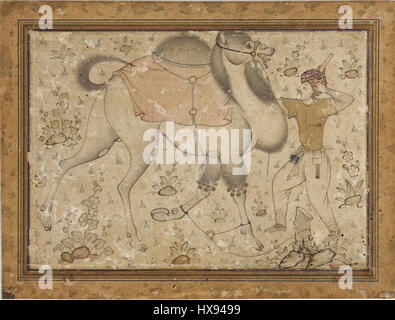 Mir Sayyid Ali (attr),Attaché Camel et Rider ca. 1535, Fogg Art Museum, Cambridge Banque D'Images