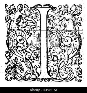 Il s'agit d'une illustration botanique tirée du travail de Nicot, plus précisément de l'année 1573. L'image se concentre probablement sur une espèce végétale, une partie d'un texte botanique historique ou une étude de l'époque de la Renaissance. Banque D'Images